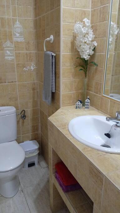 Acogedor Apartamento Jv36 Кордова Екстер'єр фото